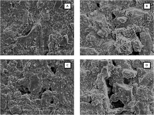 SEM micrographs showing the surface morphology of carbonized pellets and activated carbon pellets of coal 45 wt% and pitch 55 wt%, processed by carbonization and steam activation at 600℃ (A and C) and 800℃(B and D), respectively.
