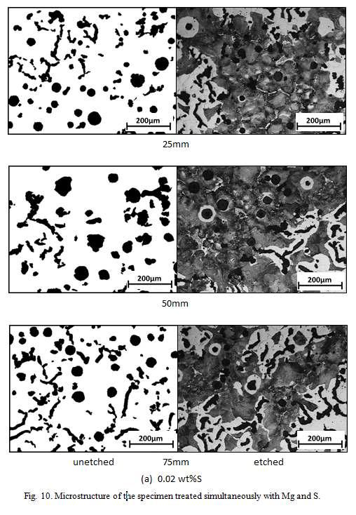 Microstructure of the specimen treated simultaneously with Mg and S.