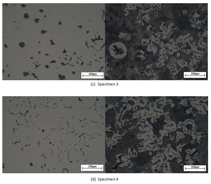 (Continued). Microstructure of test product treated with 5.0wt%Mg-Fe-Si