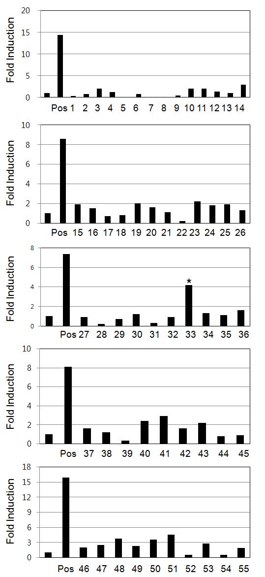 Effects of medicinal plant extracts on the TGF-β1 synthesis in human dermal fibroblasts determined by ELISA.