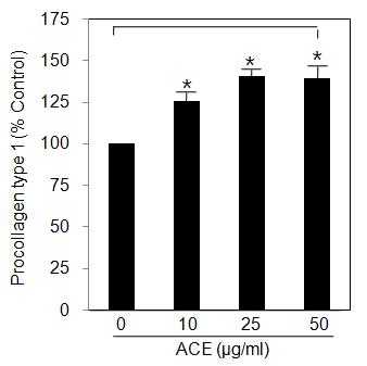 Effect of Areca catechu extract (ACE) on collagen production in dermal fibroblasts