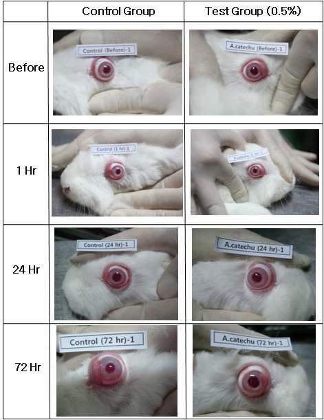 안점막 자극 시험을 위해 0.5% 대복피 실험물질 점안에 따른 실험동물의 안구 변화