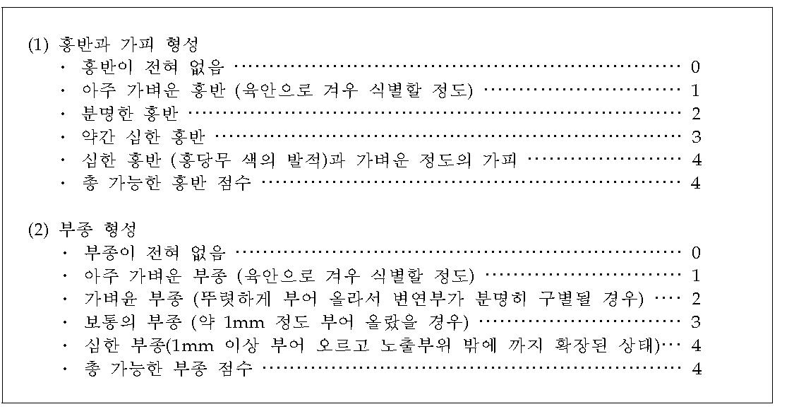 피부반응 평가표