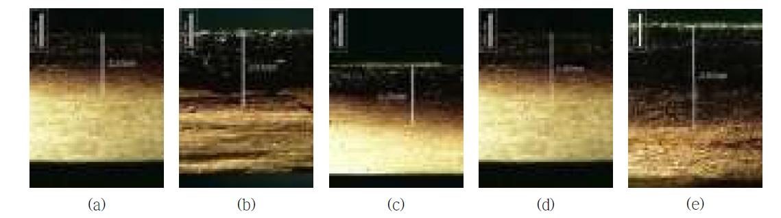 Charring depth of different contents of diammonium phosphate.