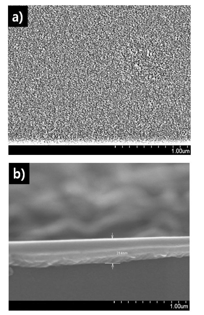 SEM images of (a) the surface view of AR coated glass and (b) cross-section view of AR coating layer
