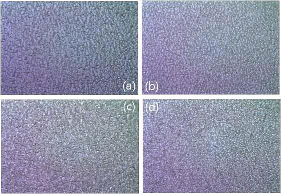 SiO2 나노입자를 넣은 고분자 분산 액정의 현미경 사진