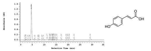 표준물질 p-Coumaric acid의 HPLC 결과