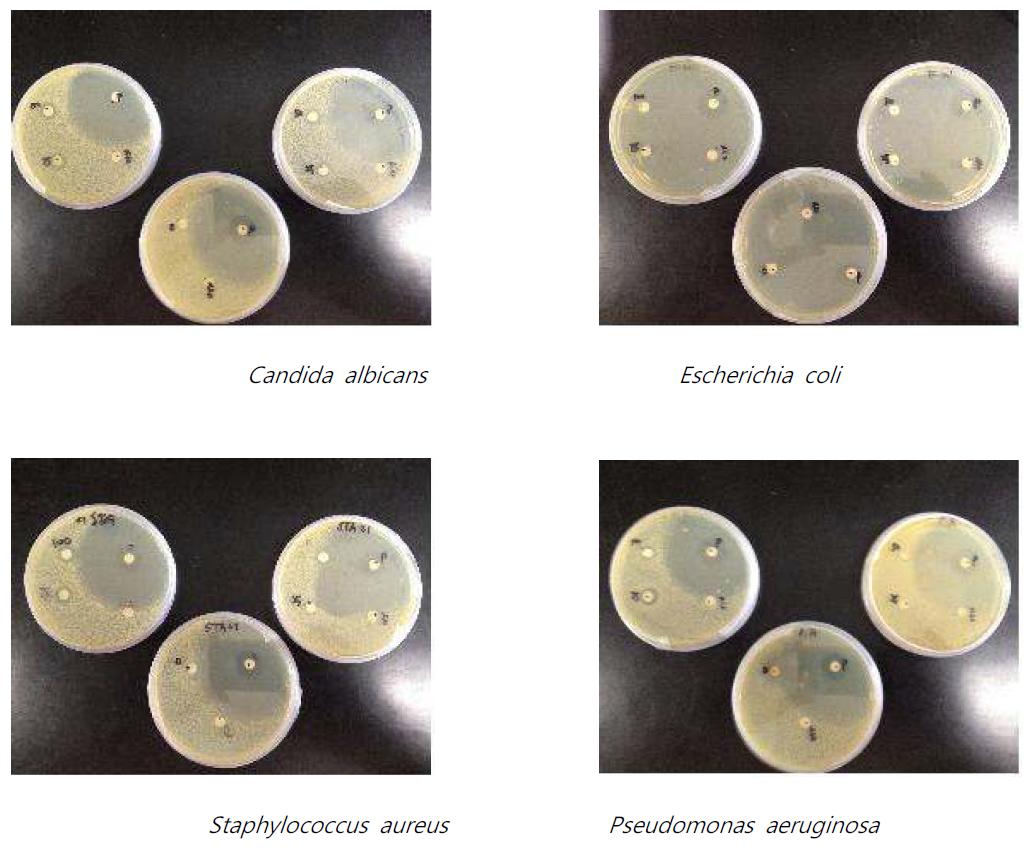 복합수목추출물 A의 항균활성