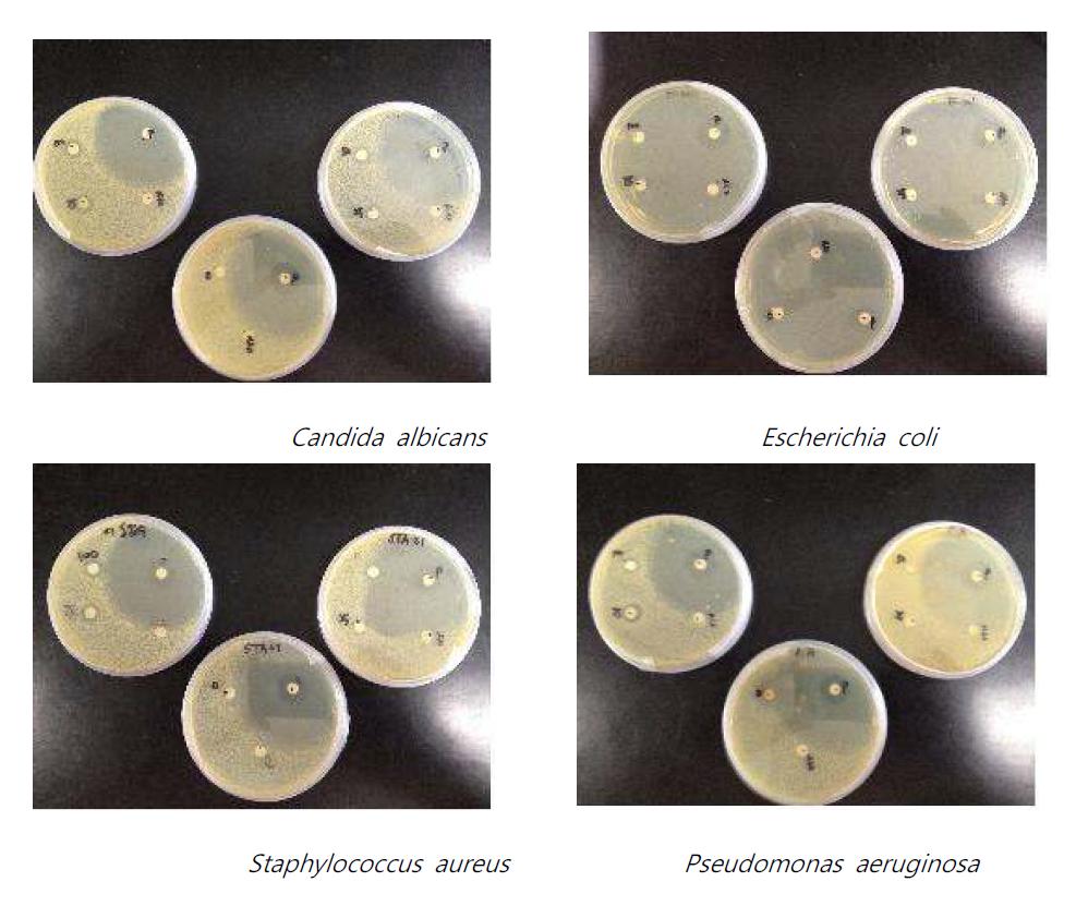 Antibacterial effect of mixed plant extracts A by disc diffusion method.