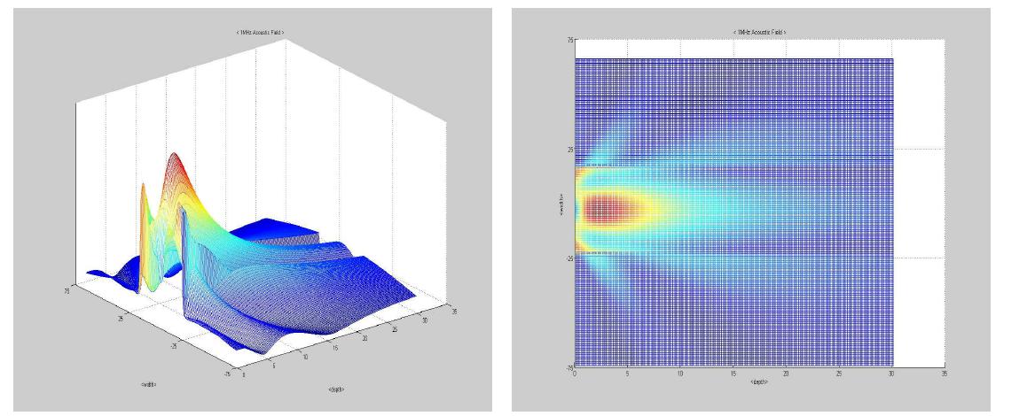 1 MHz 음장 분포 시뮬레이션 결과