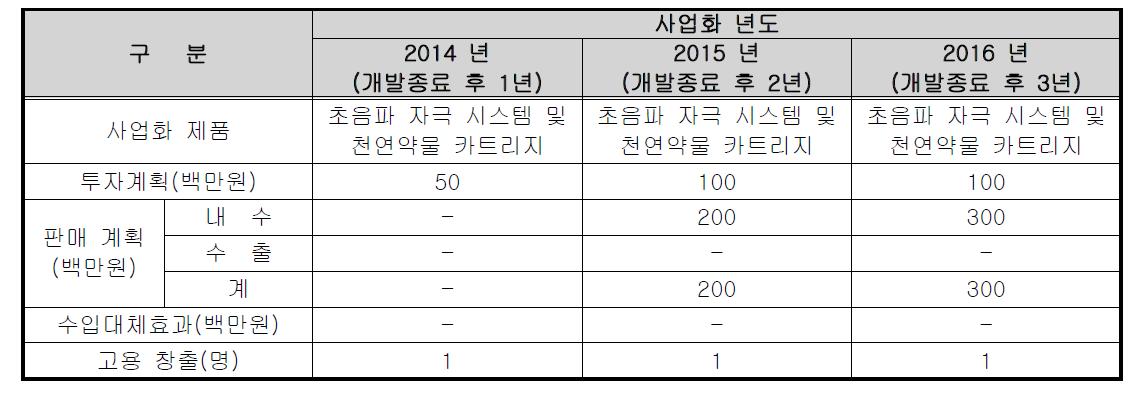 사업화 계획