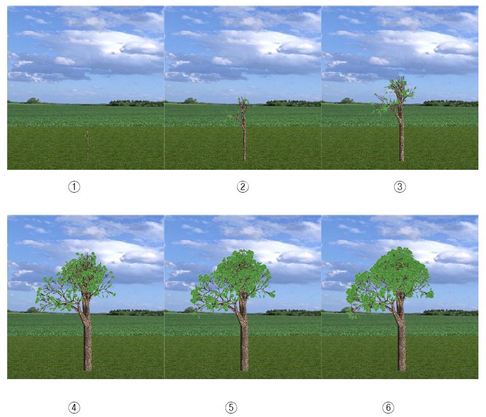 매개함수 L-System을 이용한 식물의 성장