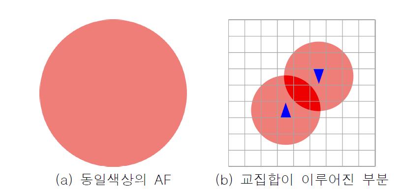 동일색상의 AF 교집합 측정