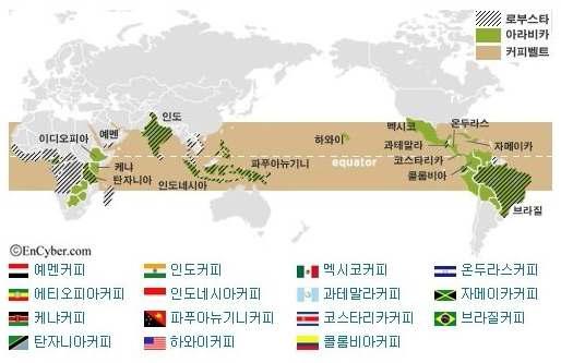 세계 주요 커피 생산국가 및 지역