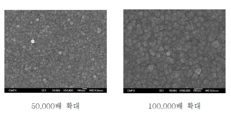 SEM 사진에 의한 표면 분석 결과