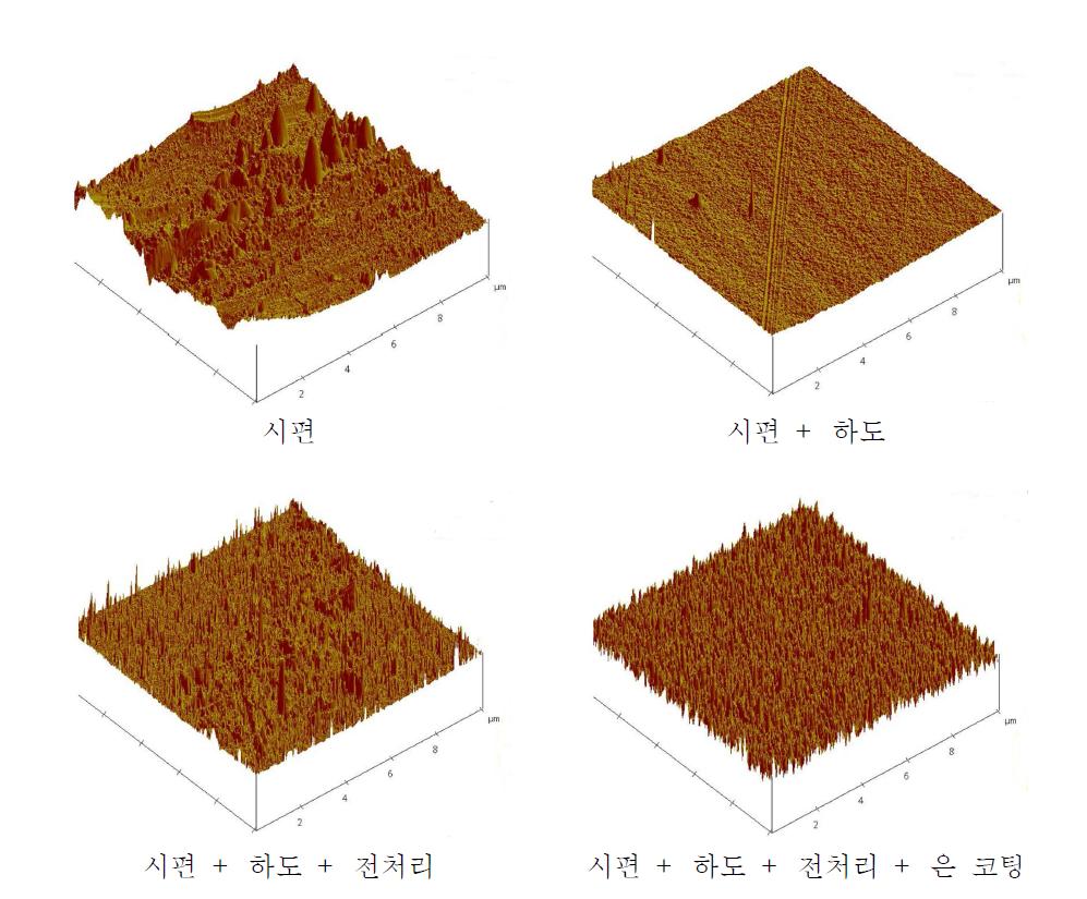 AFM을 이용한 표면 거칠기 분석 결과