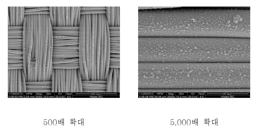 SEM 사진에 의한 폴리에스테르 직물 표면 분석 결과