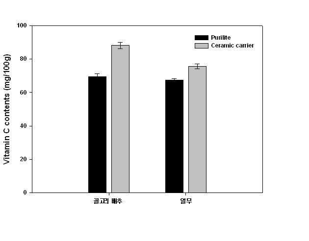 퓨리라이트와 세라믹 담체에서의 골고리 배추의 비타민 C 함량