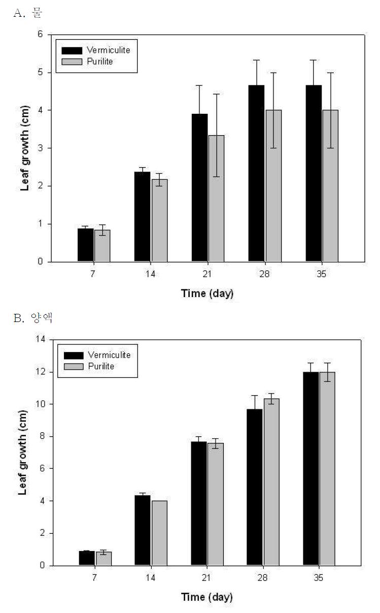 무처리된 버미큘라이트와 퓨리라이트 배지에서 상추의 초엽의 길이생장 변화