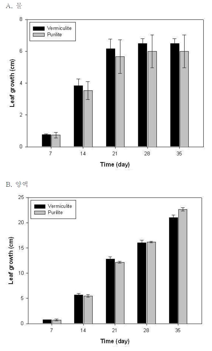 무처리된 버미큘라이트와 퓨리라이트 배지에서 열무의 초엽의 길이생장 변화