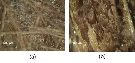 Optical microscope image of kenaf fiber: starch =1:5 (a) surface (b) cross section
