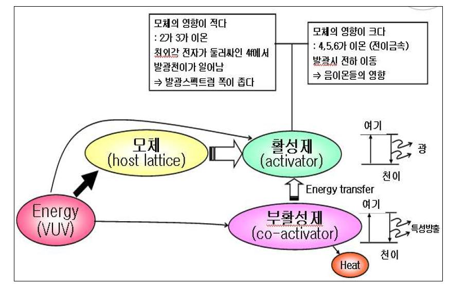 형광체의 구성