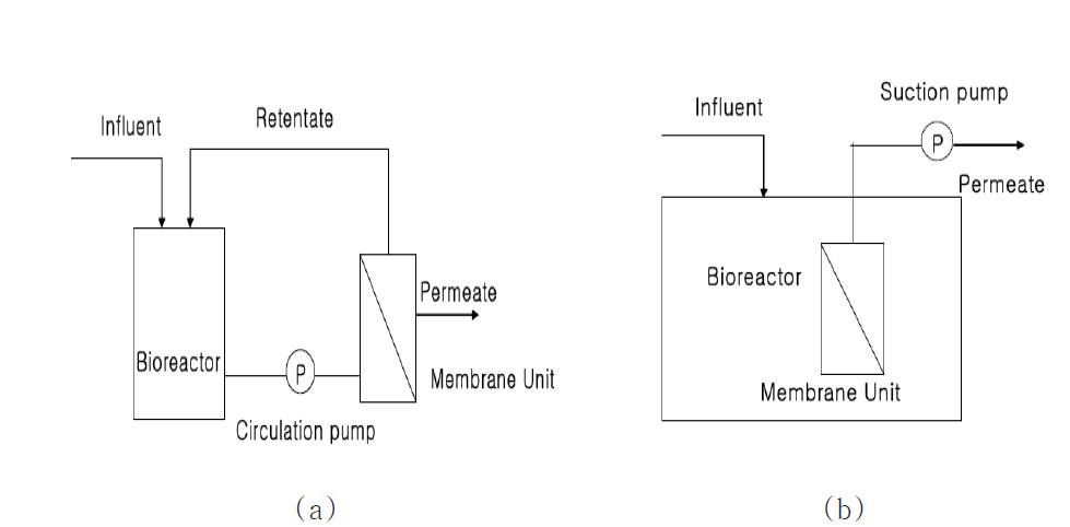MBR 시스템의 처리공정 형태; (a) External membrane type, (b)Submerged membrane type