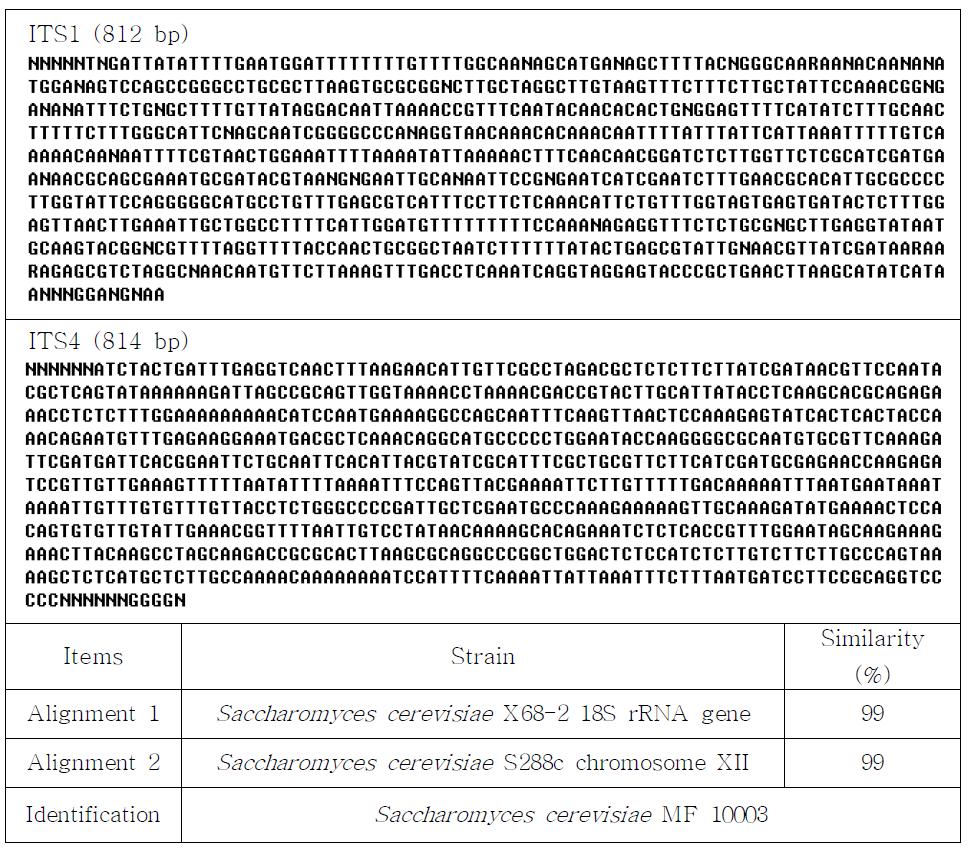 Blast searching with the ITS sequences from genomic DNA of yeast, Saccharomyces cerevisiae MF 10003.
