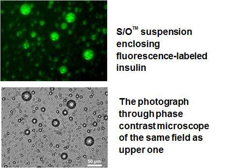 Fluorescence loaded emulsion.