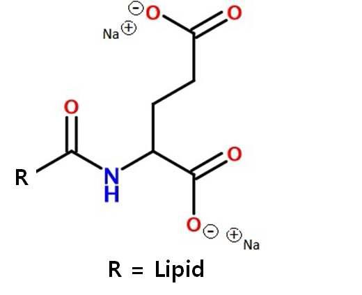 Structure of amino acid based surfactant.