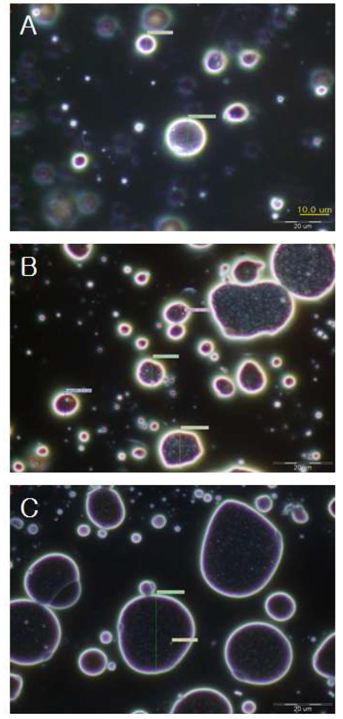 Microscope image of glycolipid surfactant cream (4)