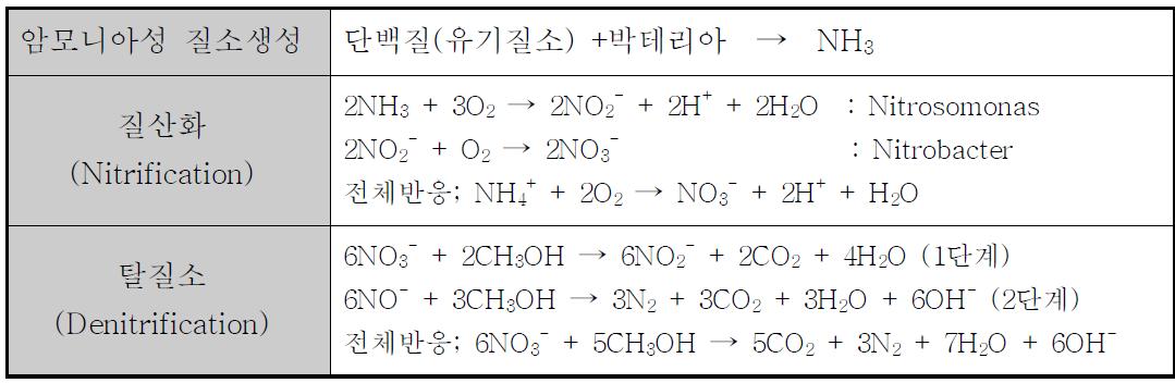 [보고서]나노전이금속물질을 이용한 고활성 실리카나노튜브의 질산성 질소(NO3_N) 처리장치 개발