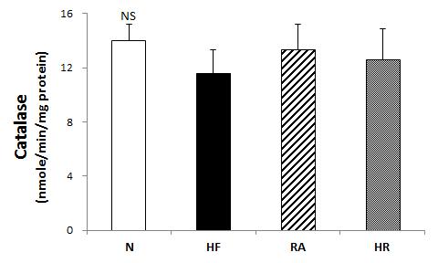 Effects of Rosa multiflora on hepatic catalase activities in rat high fat·high cholesterol diets. All values are the means±SE (n=10). Those with different superscript letters are significantly different at p<0.05 by Tukey’s test.