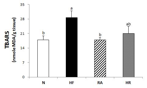 Effects of Rosa multiflora on hepatic thiobarbituric acid reactive substances (TBARS) activities in rat high fat·high cholesterol diets. All values are the means±SE (n=10). Those with different superscript letters are significantly different at p<0.05 by Tukey’s test.