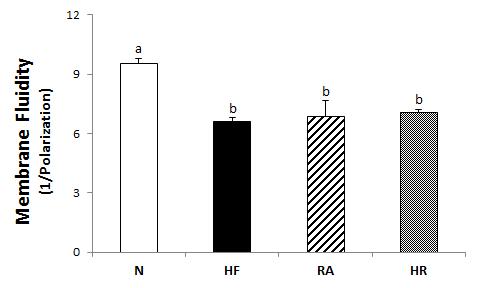 Effects of Rosa multiflora on hepatic membrane fluidity activities in rat high fat·high cholesterol diets. All values are the means±SE (n=10). Those with different superscript letters are significantly different at p<0.05 by Tukey’s test.