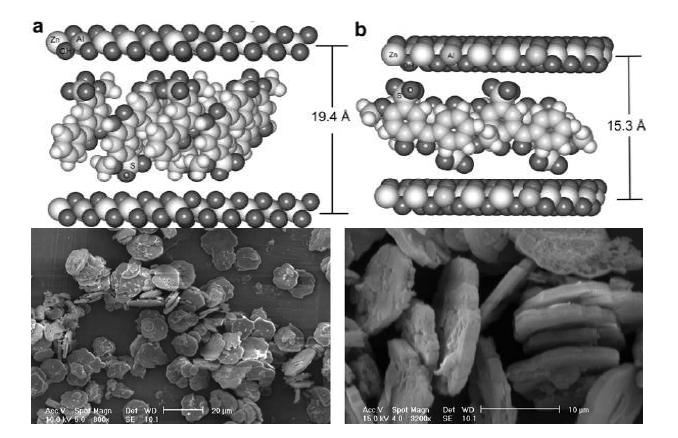 Computer-generated models showing the most probable arrangement of (a) m-4BHF and (b) d-4HF anions between the HTLc layers, and Scannin electron micrographs of hydrotalsites (11)