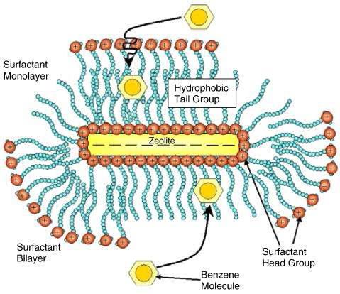 Conceptual model of benzene partitioning into the hydrophobic tail groups of surfactant-modified zeolite (15)