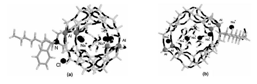 (a) Benzalkonium chloride in front of the 8-ring windows channel. (b)Sodium lauryl sulfate parallel to 8-ring windows (16)