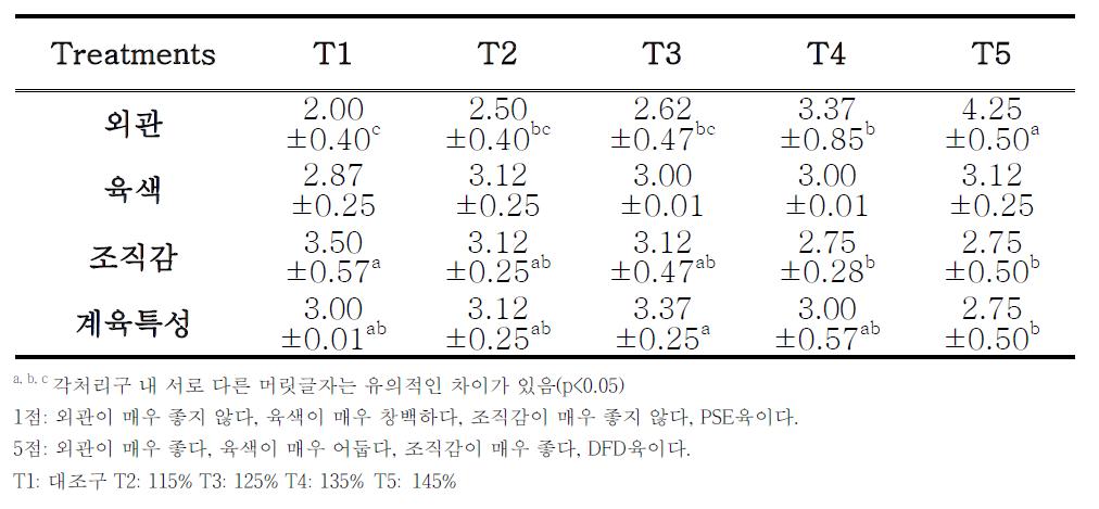 주관적판정