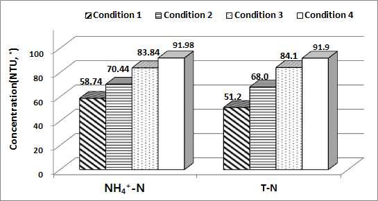 NH4+-N, T-N 제거효율