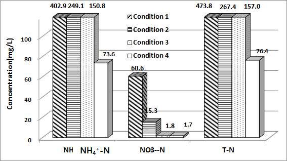 NH4+-N, T-N 처리특성