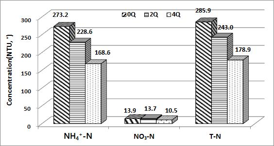 NH4+-N, T-N 처리특성