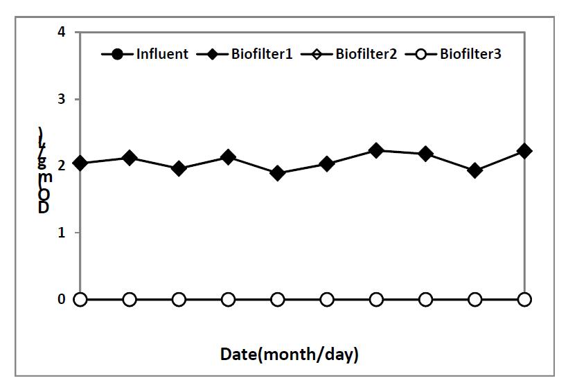 병합 처리에 따른 3단 생물막여과기의 DO 변화