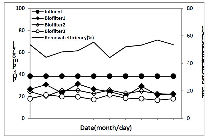 병합 처리에 따른 3단 생물막여과기의 PO4-P 처리 특성