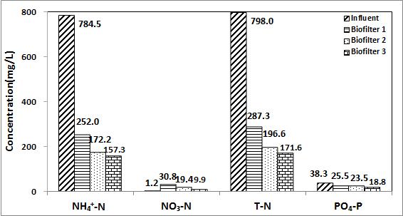 병합 처리에 따른 3단 생물막여과기의 NH4+-N, NO3-N, T-N, PO4-P 처리 특성