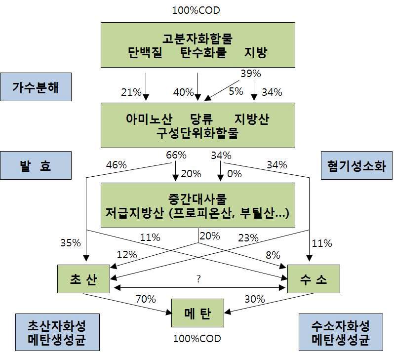 혐기성 소화의 3단계