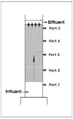 Upflow biofiler process(상향류 생물막여과기의) 개략도