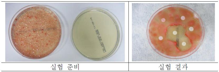 Paper disk method 예시