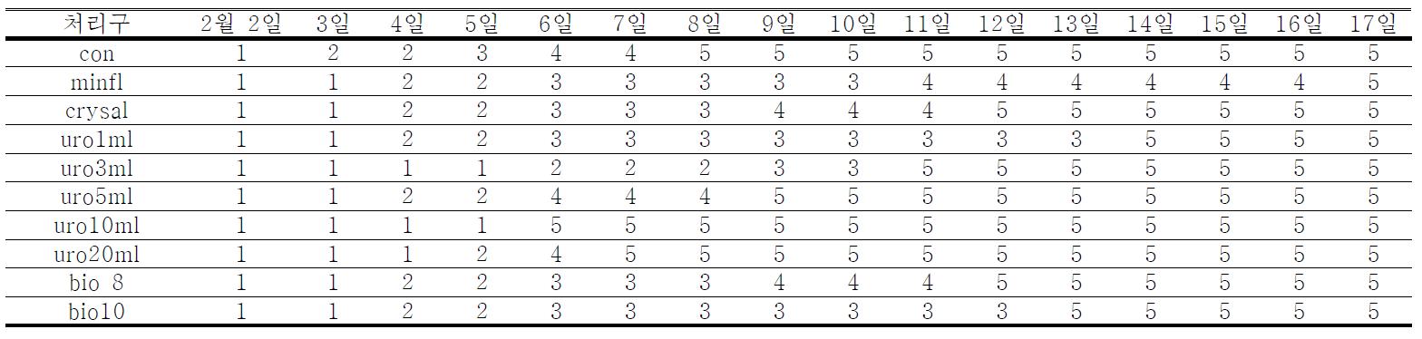 장미의 개화단계에 따른 절화수명