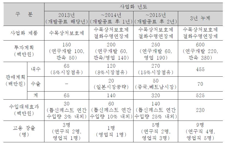 사업화 계획